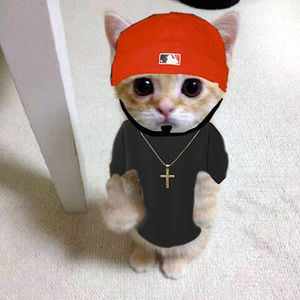 Meet your Posher, Ashton